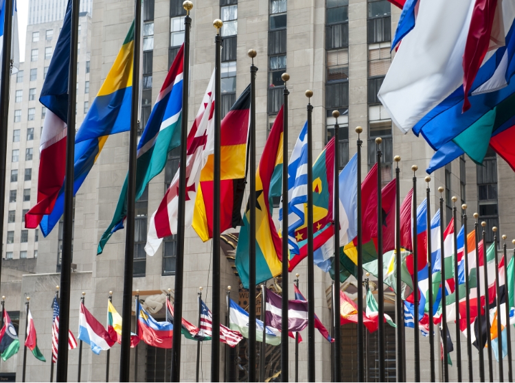 海外引越メニュー